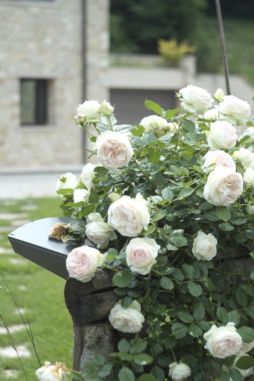 Agriturismo Casamela Paderno del Grappa Eksteriør billede